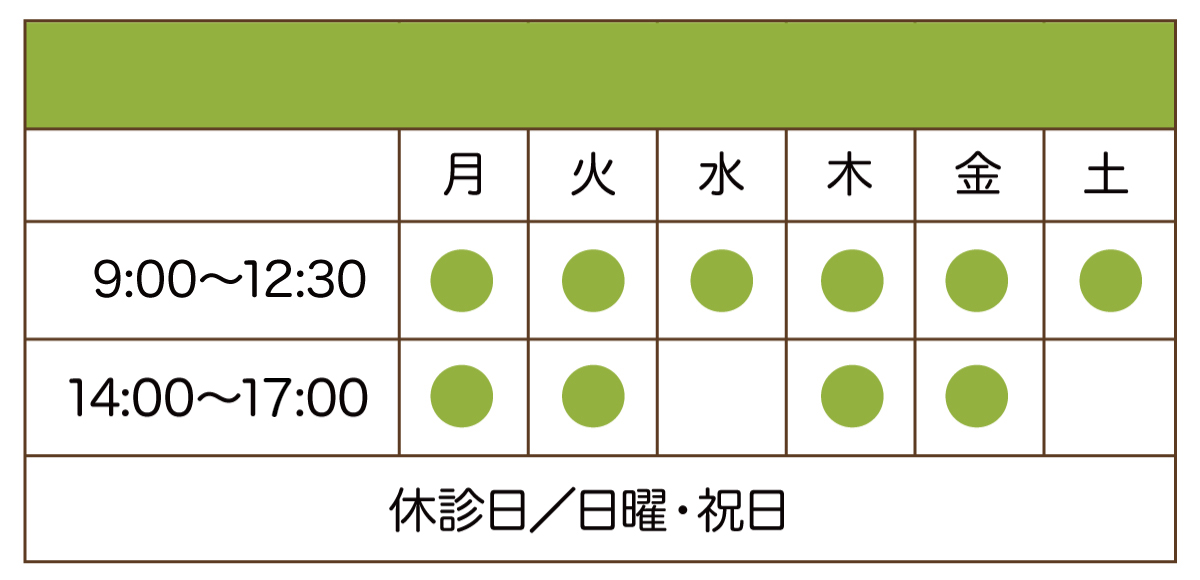 写真の説明を入れます