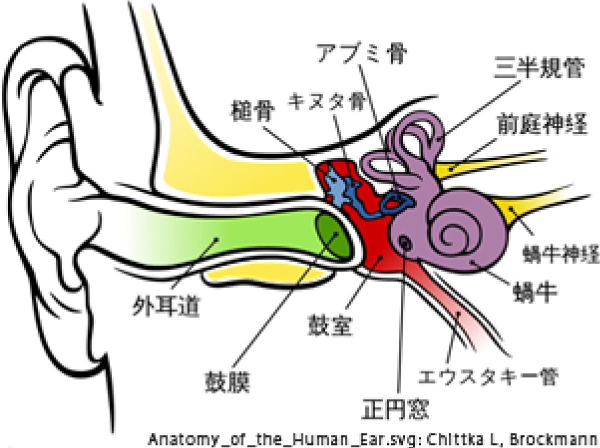 サービス名をここに入れます